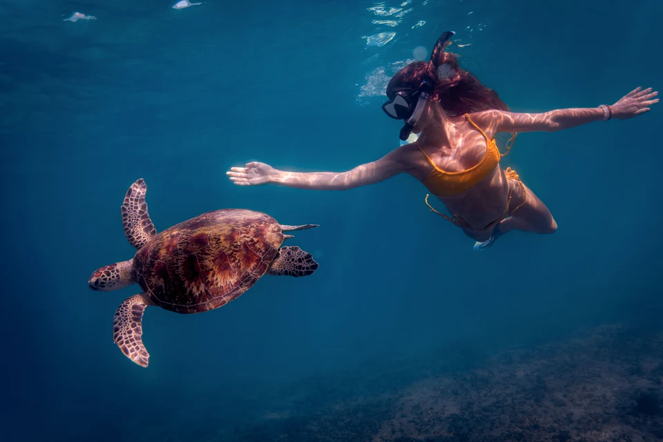 A woman in a yellow swimsuit snorkeling beside a sea turtle.